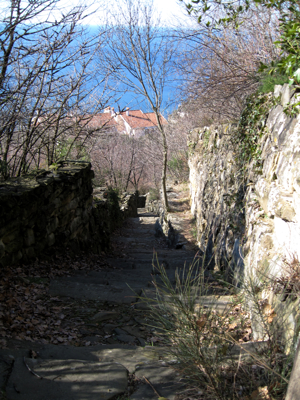 looking down the stairway to the sea